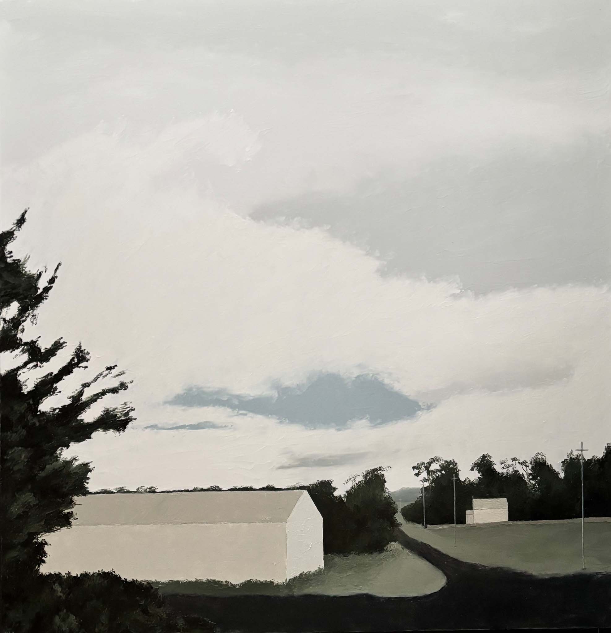 NW6-'Calling' 70cm x 70cm